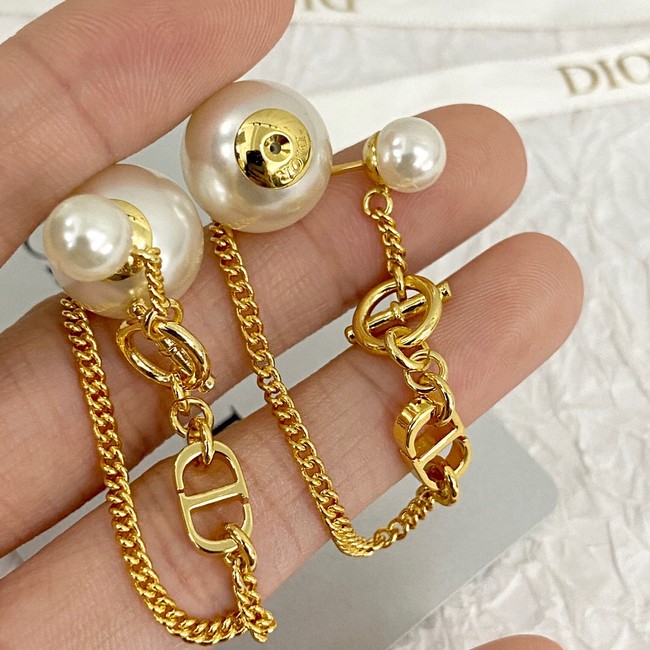 Dior Earrings CE14629