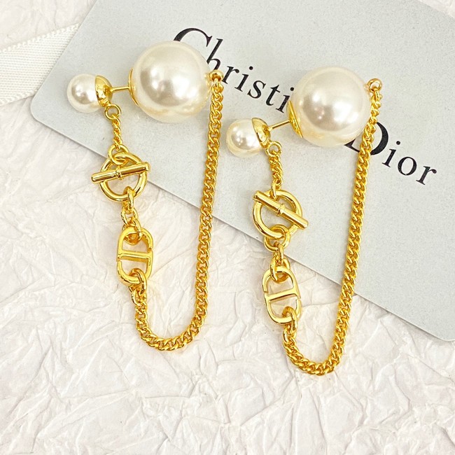 Dior Earrings CE14629