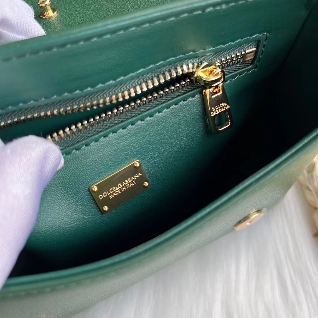 Dolce & Gabbana leather bag G6002 green