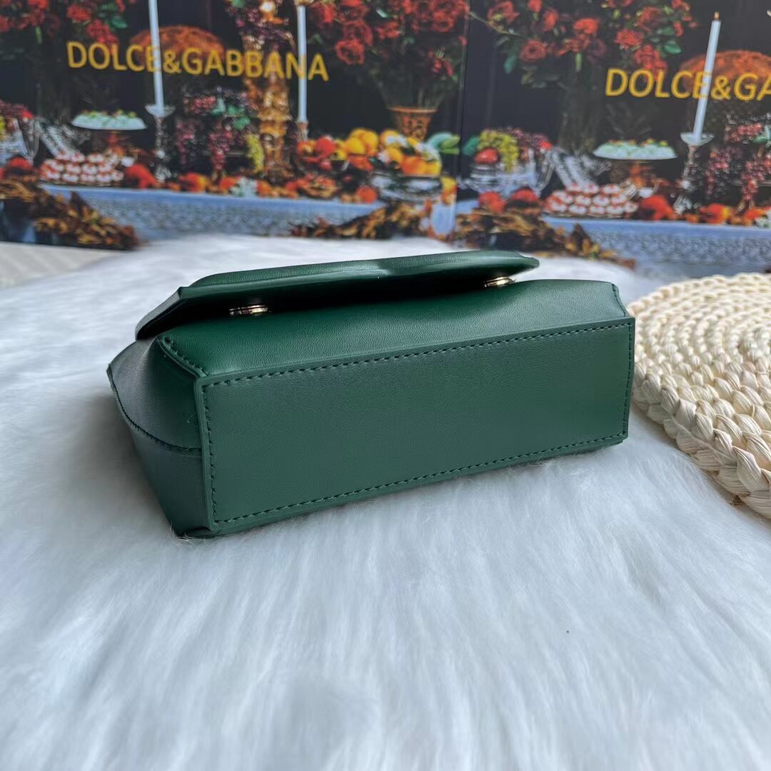 Dolce & Gabbana leather bag G6002 green