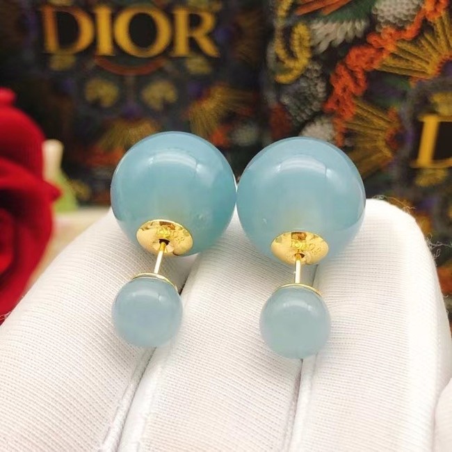 Dior Earrings CE14671