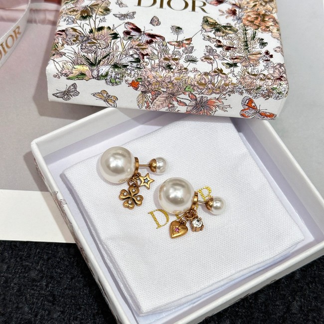 Dior Earrings CE14707