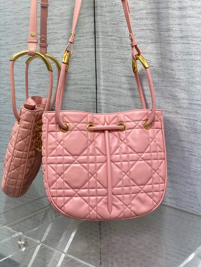 Dioriviera Medium Dior Nolita Bag Calfskin M2312UB pink