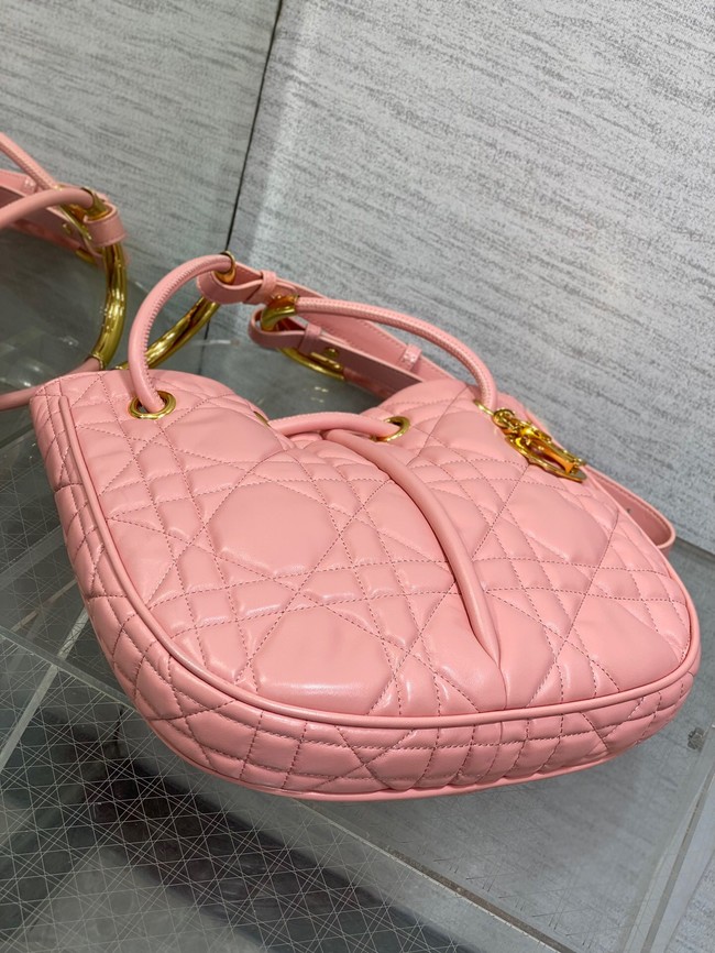 Dioriviera Medium Dior Nolita Bag Calfskin M2312UB pink