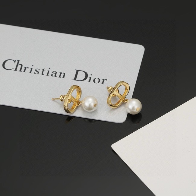 Dior Earrings CE14731