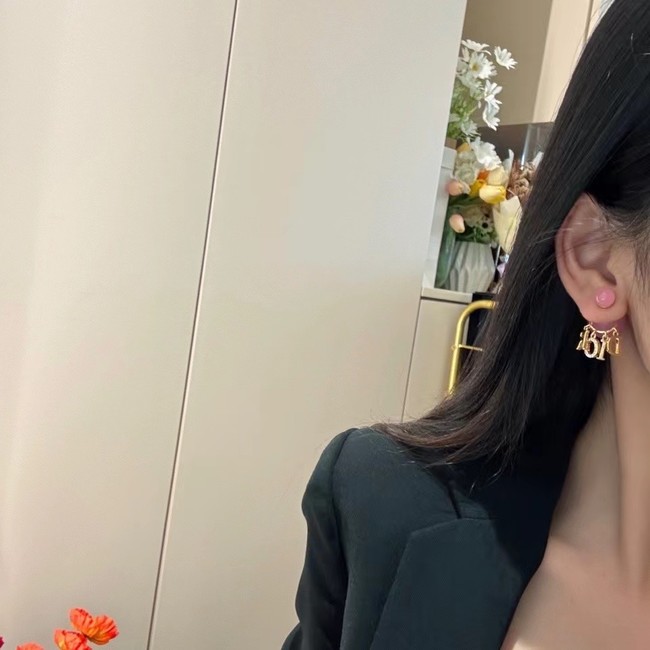 Dior Earrings CE14809