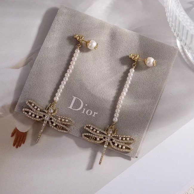 Dior Earrings CE14828