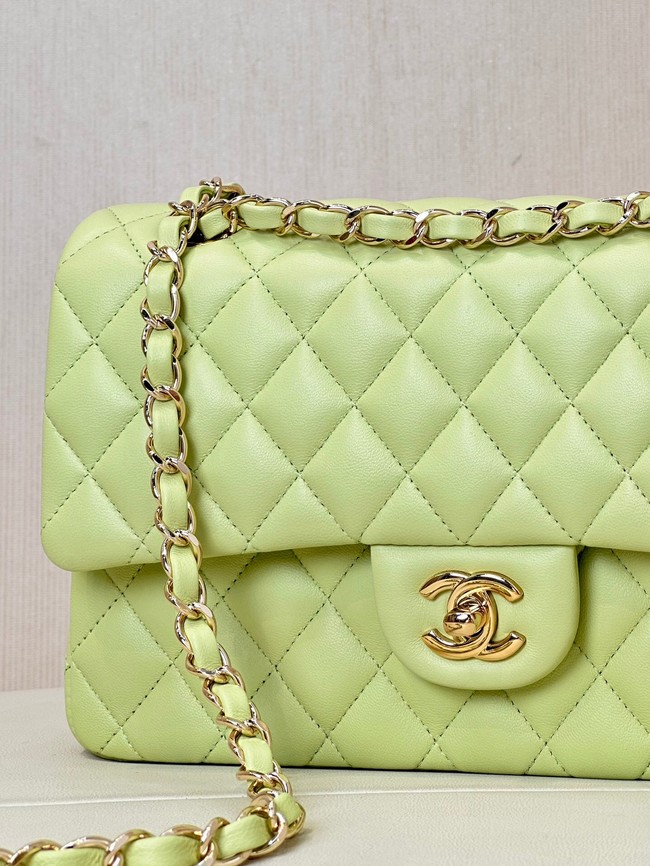 Chanel CLASSIC HANDBAG Lambskin & Gold-Tone Metal A01113 light green