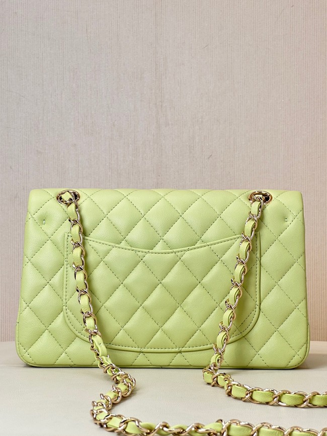 Chanel CLASSIC HANDBAG Lambskin & Gold-Tone Metal A01113 light green