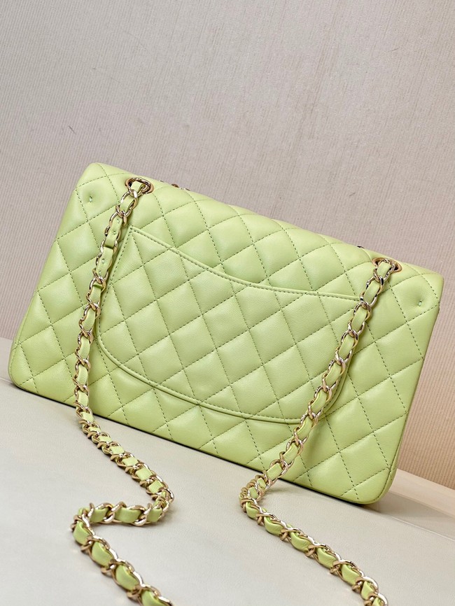 Chanel CLASSIC HANDBAG Lambskin & Gold-Tone Metal A01113 light green