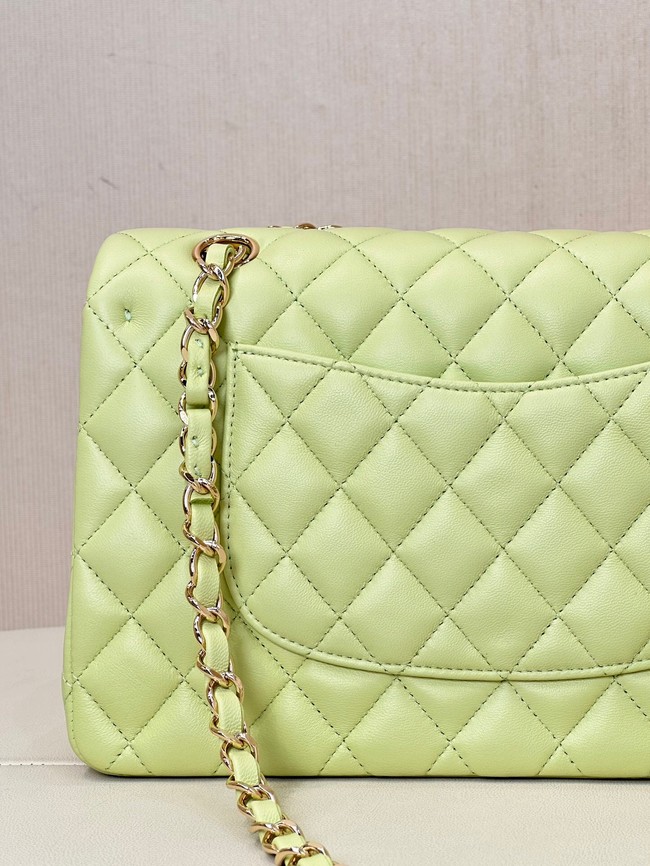 Chanel CLASSIC HANDBAG Lambskin & Gold-Tone Metal A01113 light green