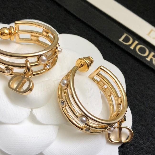 Dior Earrings CE14872