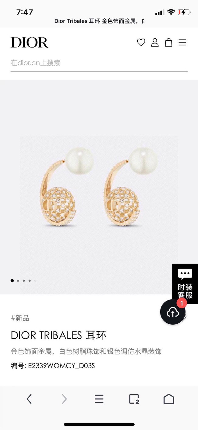 Dior Earrings CE14905