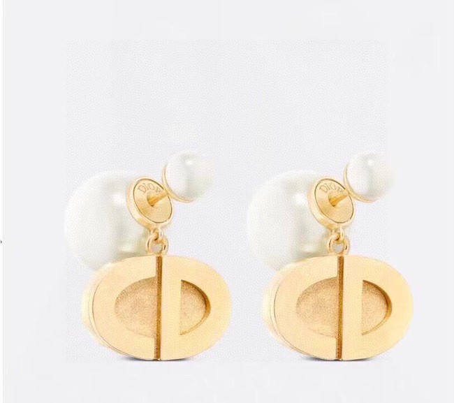 Dior Earrings CE14907