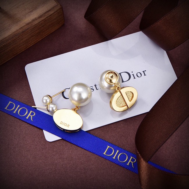 Dior Earrings CE14907