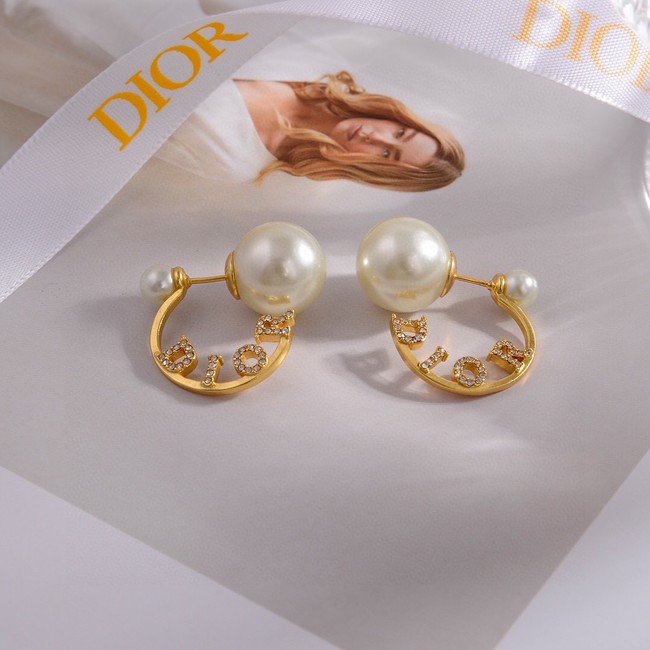 Dior Earrings CE14908