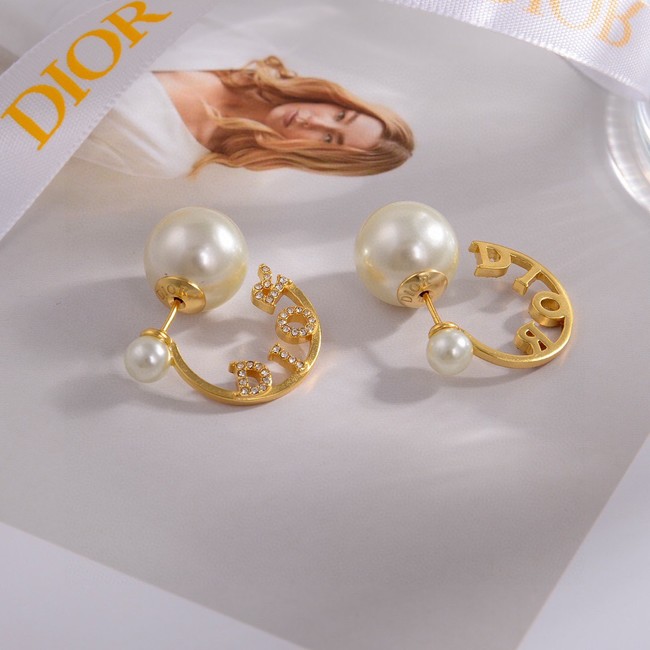 Dior Earrings CE14908