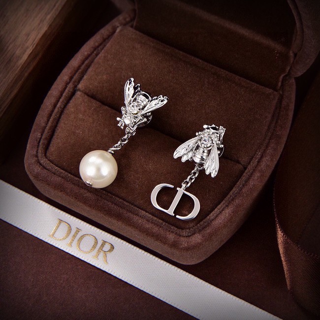 Dior Earrings CE14909