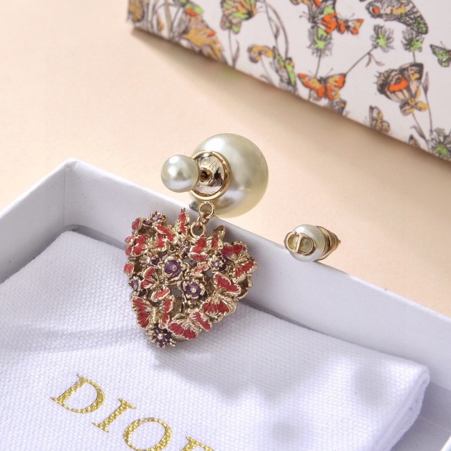 Dior Earrings CE14910