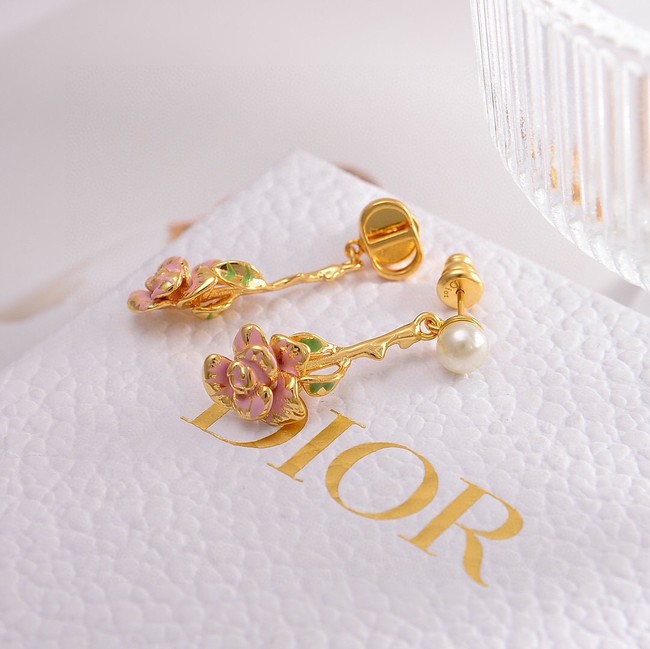 Dior Earrings CE14919