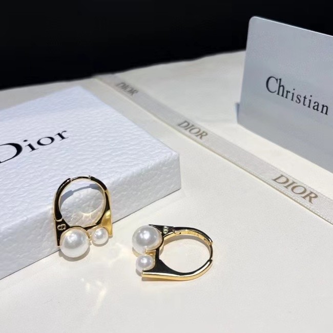 Dior Earrings CE14988