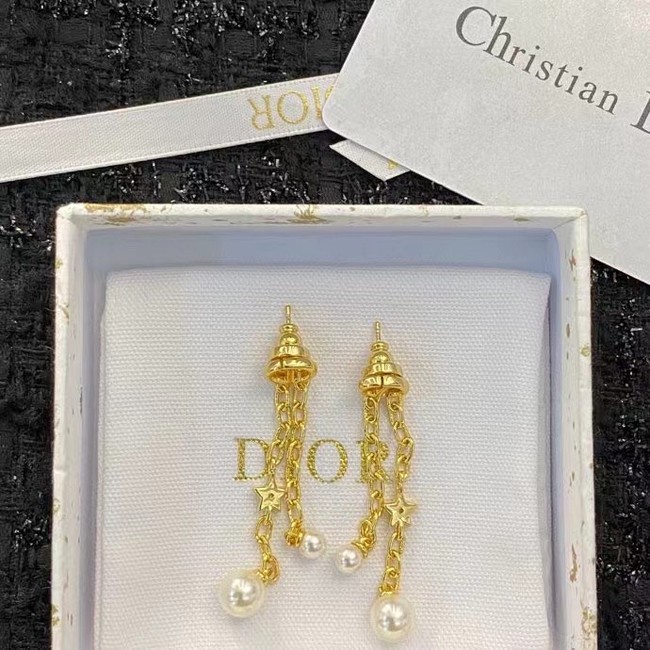 Dior Earrings CE15007