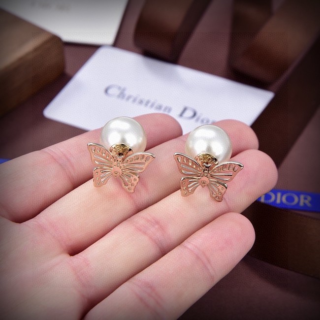 Dior Earrings CE15018