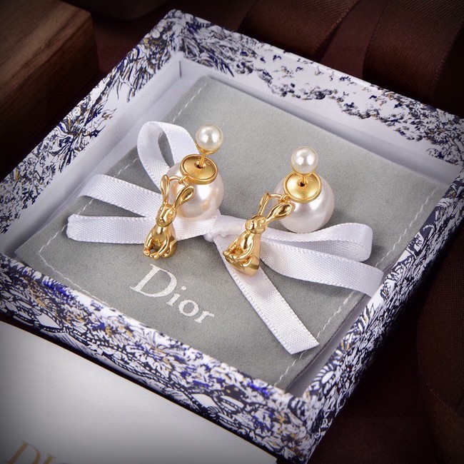 Dior Earrings CE15019