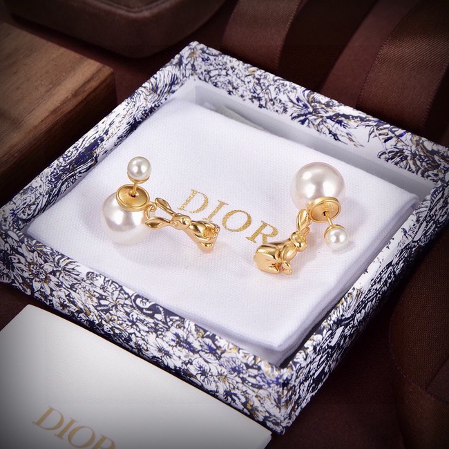 Dior Earrings CE15019