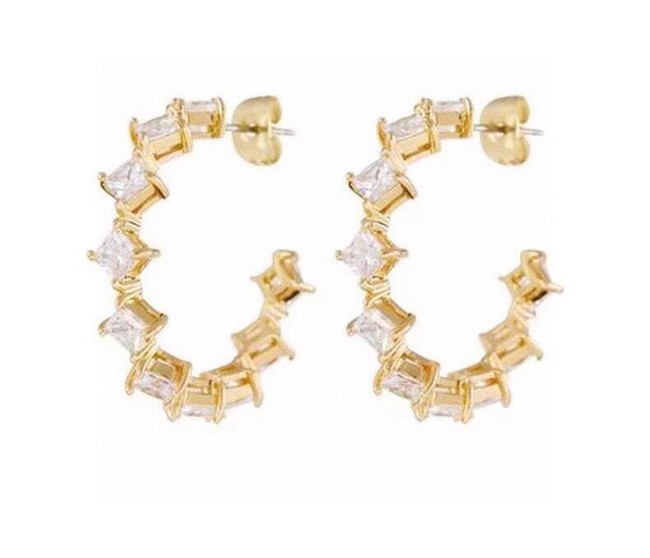 Celine Earrings CE15039