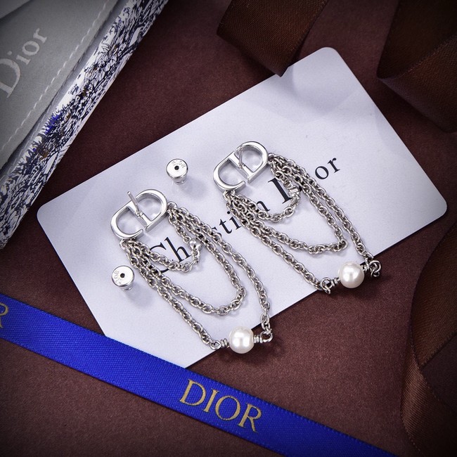 Dior Earrings CE15046