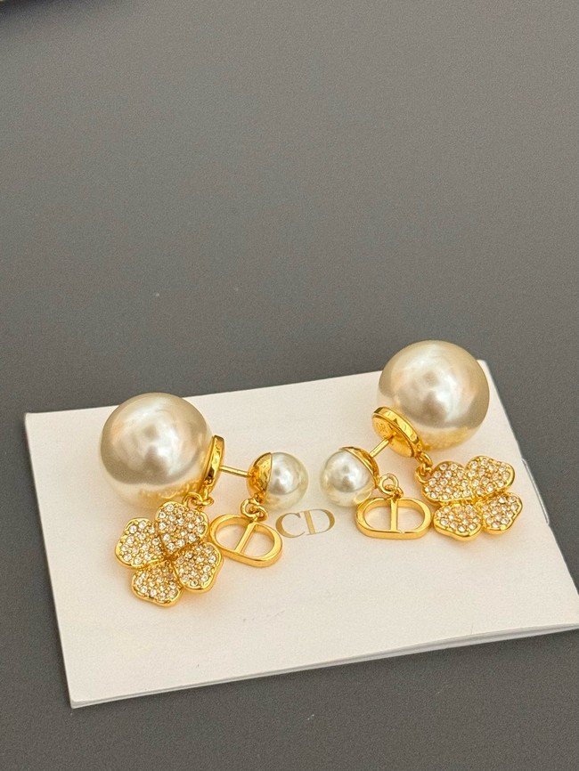 Dior Earrings CE15066