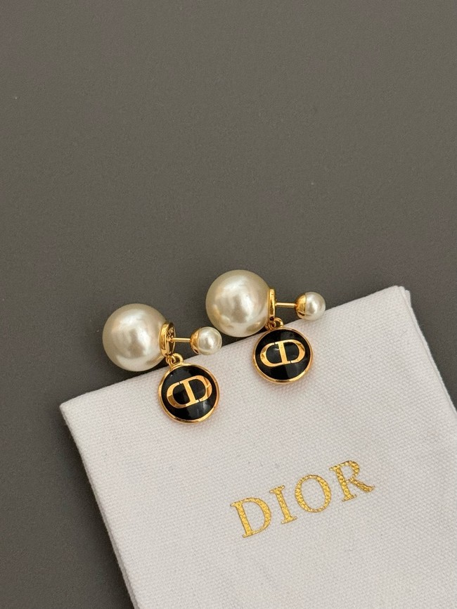 Dior Earrings CE15068