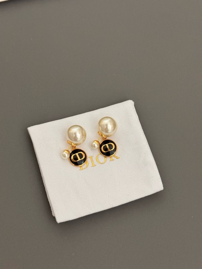 Dior Earrings CE15068