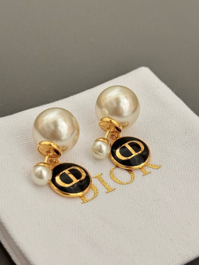 Dior Earrings CE15068