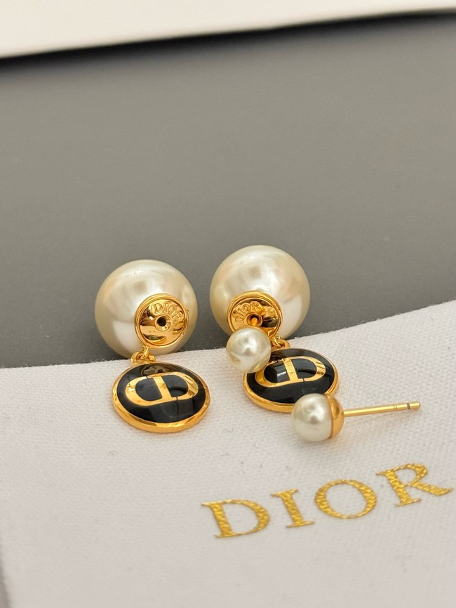 Dior Earrings CE15068