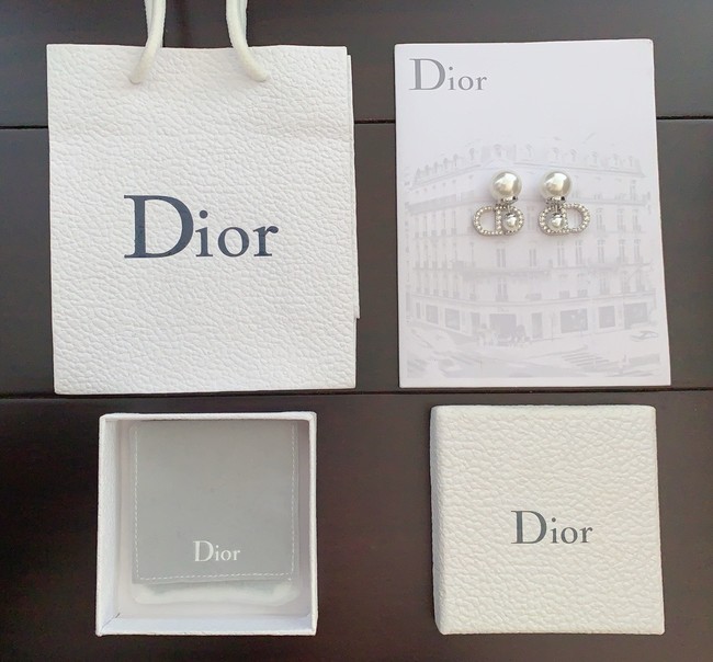 Dior Earrings CE15069