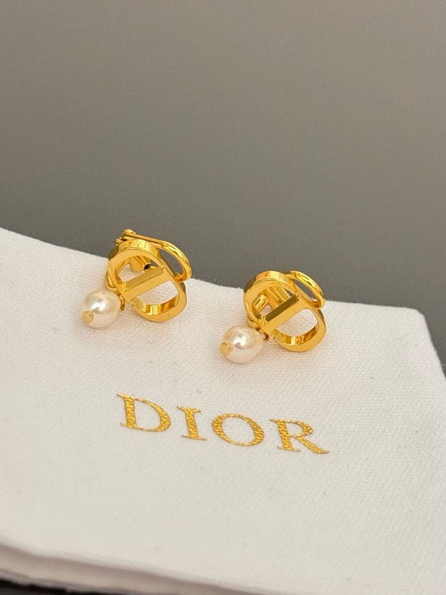 Dior Earrings CE15070