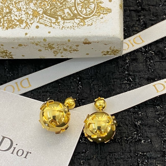 Dior Earrings CE15109