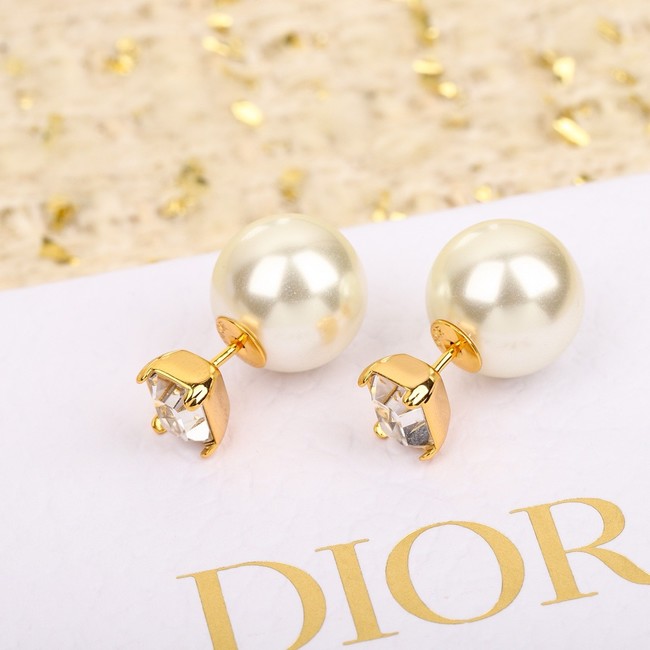 Dior Earrings CE15143