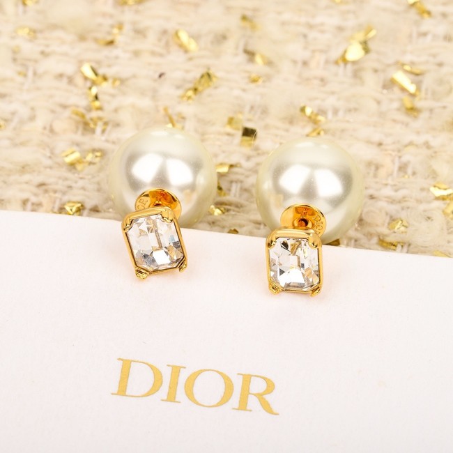 Dior Earrings CE15143