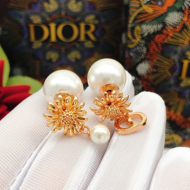 Dior Earrings CE15174