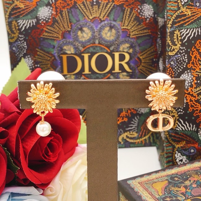 Dior Earrings CE15174