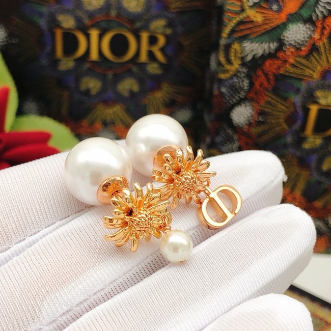 Dior Earrings CE15174