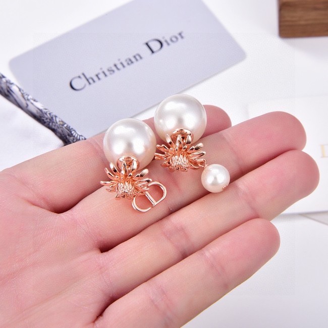 Dior Earrings CE15193