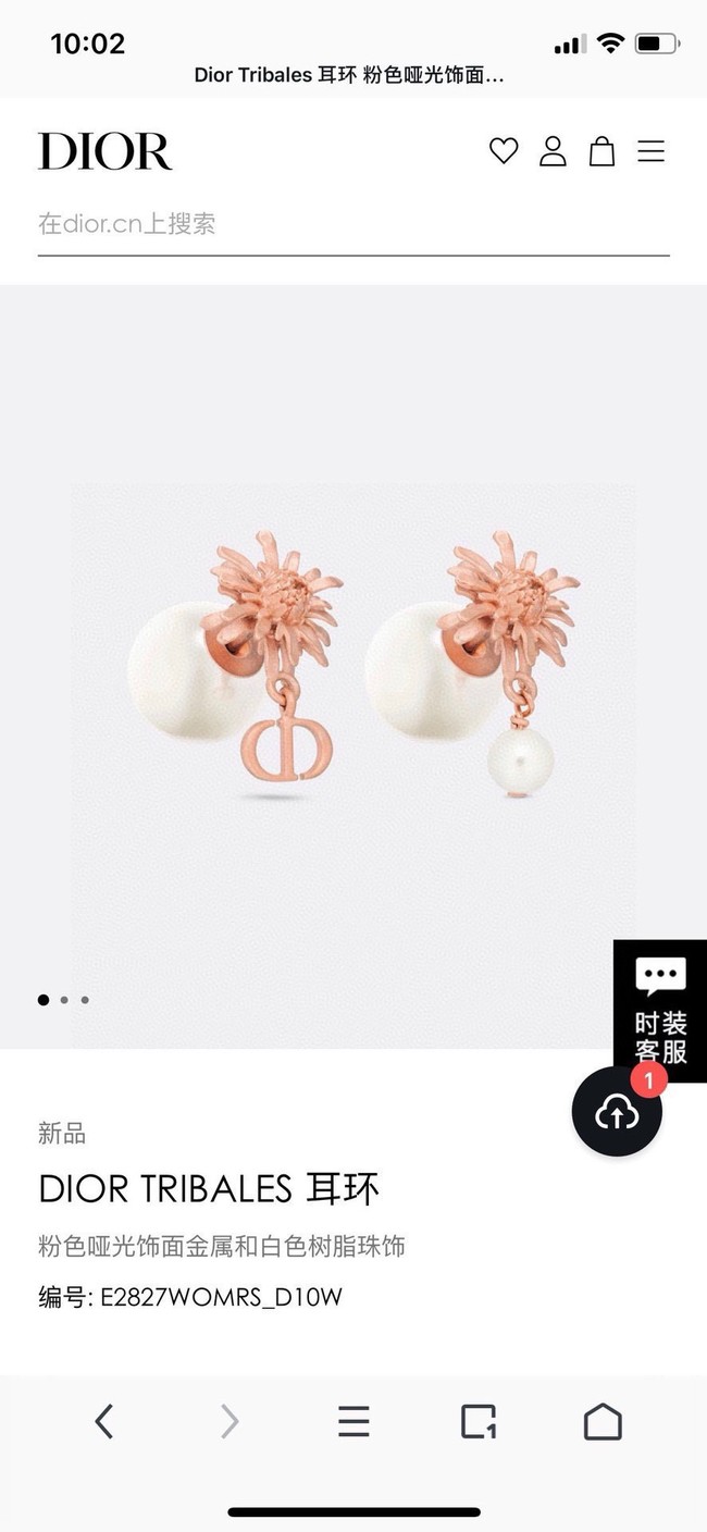 Dior Earrings CE15193