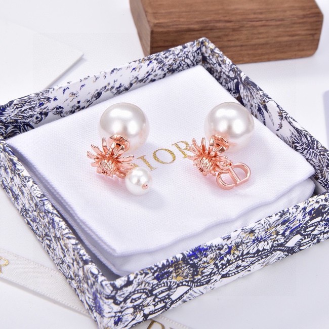 Dior Earrings CE15193