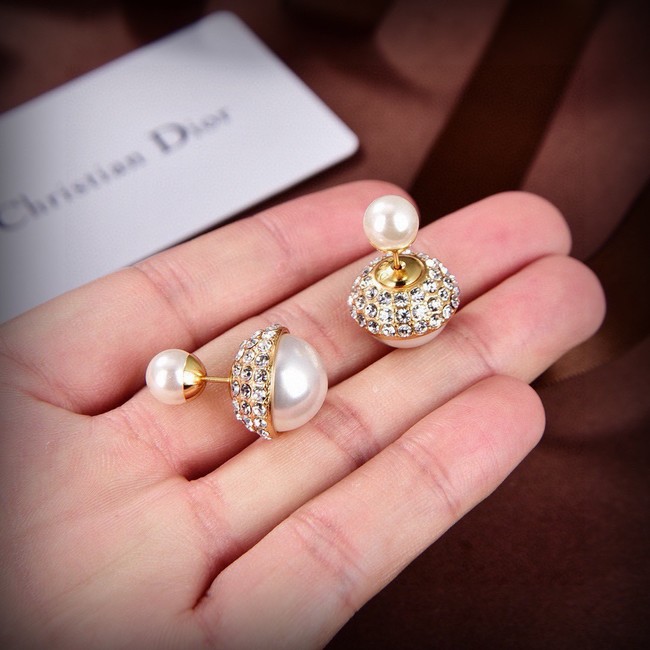 Dior Earrings CE15194