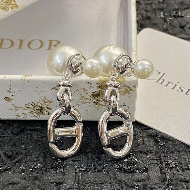 Dior Earrings CE15222