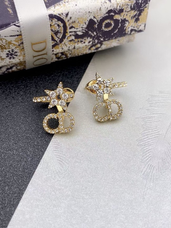 Dior Earrings CE15225